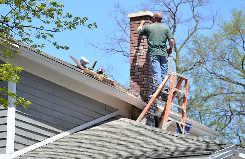 Chimney & Fireplace Inspections Services in West Seneca, NY